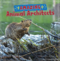 Amazing Animal Architects - Preview