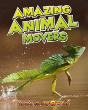Amazing Animal Movers - Preview