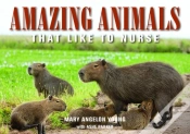 Capa do artigo Amazing Animals