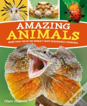 Amazing Animals