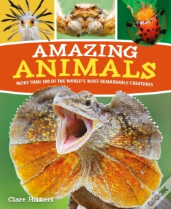 Capa do artigo Amazing Animals
