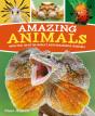 Amazing Animals - Preview