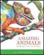 Amazing Animals - Preview