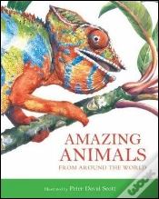 Capa do artigo Amazing Animals