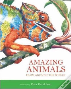 Capa do artigo Amazing Animals