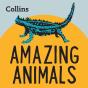 Amazing Animals - Preview