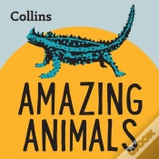 Capa do artigo Amazing Animals