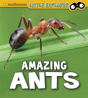 Amazing Ants - Preview