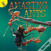 Capa do artigo Amazing Ants