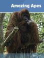 Amazing Apes - Preview