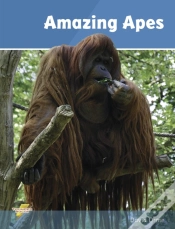 Capa do artigo Amazing Apes