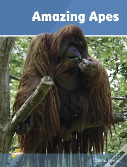 Capa do artigo Amazing Apes