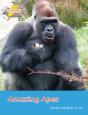 Amazing Apes - Preview