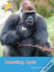 Capa do artigo Amazing Apes