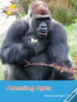 Capa do artigo Amazing Apes