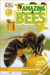 Capa do artigo Amazing Bees