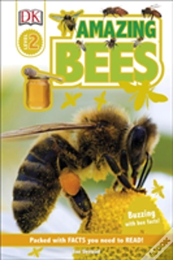 Capa do artigo Amazing Bees