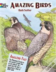 Amazing Birds