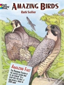 Capa do artigo Amazing Birds