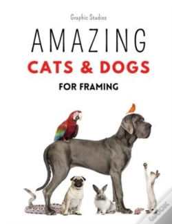 Capa do artigo Amazing Cats And Dogs For Framing