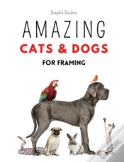 Capa do artigo Amazing Cats And Dogs For Framing