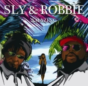 Capa do artigo Amazing - CD
