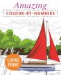 Amazing Colour-By-Numbers Large Print - Preview