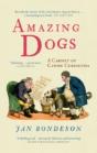 Amazing Dogs - Preview
