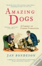 Capa do artigo Amazing Dogs