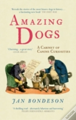 Capa do artigo Amazing Dogs