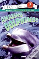Amazing Dolphins!