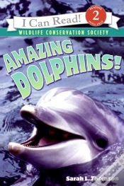 Capa do artigo Amazing Dolphins!