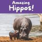 Amazing Hippos! - Preview