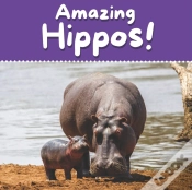 Capa do artigo Amazing Hippos!