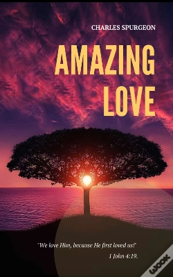 Capa do artigo Amazing Love