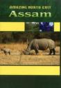 Amazing North East_ Assam - Preview