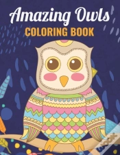 Capa do artigo Amazing Owls Coloring Book