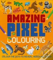 Capa do artigo Amazing Pixel Colouring
