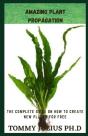 Amazing Plant Propagation - Preview