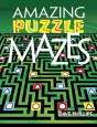 Amazing Puzzle Mazes - Preview
