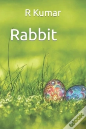 Capa do artigo Amazing Rabbit Drawing Book