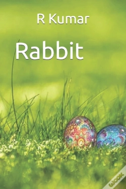 Capa do artigo Amazing Rabbit Drawing Book