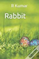 Amazing Rabbit Drawing Book