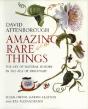 Amazing Rare Things - Preview