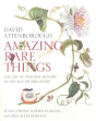 Amazing Rare Things - Preview