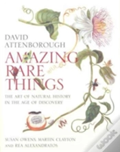 Capa do artigo Amazing Rare Things
