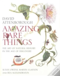 Capa do artigo Amazing Rare Things