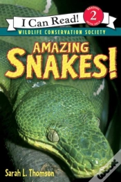 Capa do artigo Amazing Snakes!