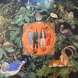 Capa do artigo Amazing Things - Vinil