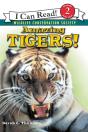 Amazing Tigers! - Preview